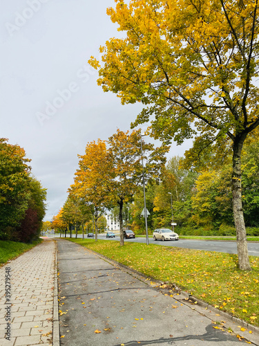 road, cars, greenery, trees, universtitat strabe,  bayreuth, germany photo