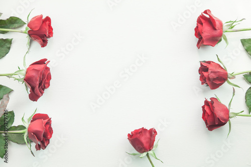 Red roses on white background.