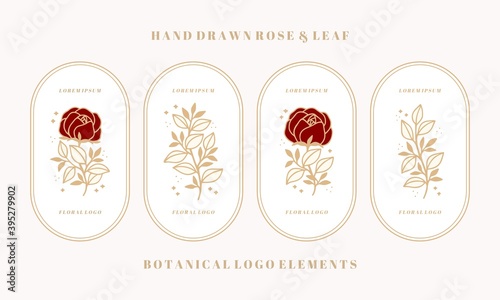 Set of hand drawn vintage botanical rose flower and leaf branch vector illustration elements for feminine logo and beauty brand
