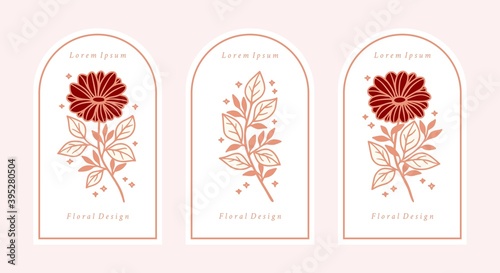 Set of hand drawn vintage pink botanical daisy and gerbera flower vector illustration elements for feminine logo and beauty brand