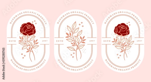 Set of hand drawn vintage pink botanical rose flower, peony, and leaf branch vector illustration elements for feminine logo and beauty brand