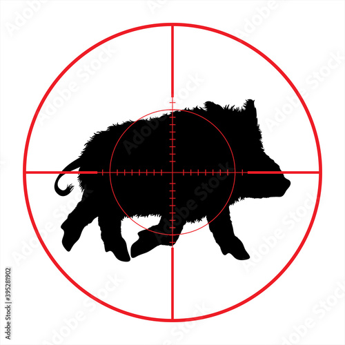 Vector silhouette of wild boar in rifle sight while hunting. The forest creatures in focus.