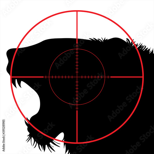 Vector silhouette of lion in rifle sight while hunting. The African creatures in focus.