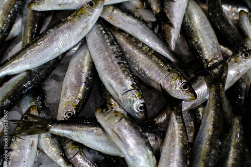 Closeup on fresh sardines. Local fish market   