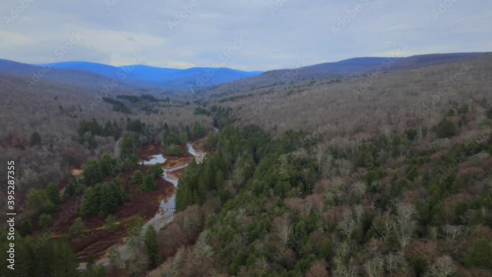 Drone video flying high above a river valley with a meandering stream, bare trees, and pine trees and blue mountains in the distance Drone video flying high above a river valley with a meandering stream, bare trees, and pine trees and blue mountains in the distance
