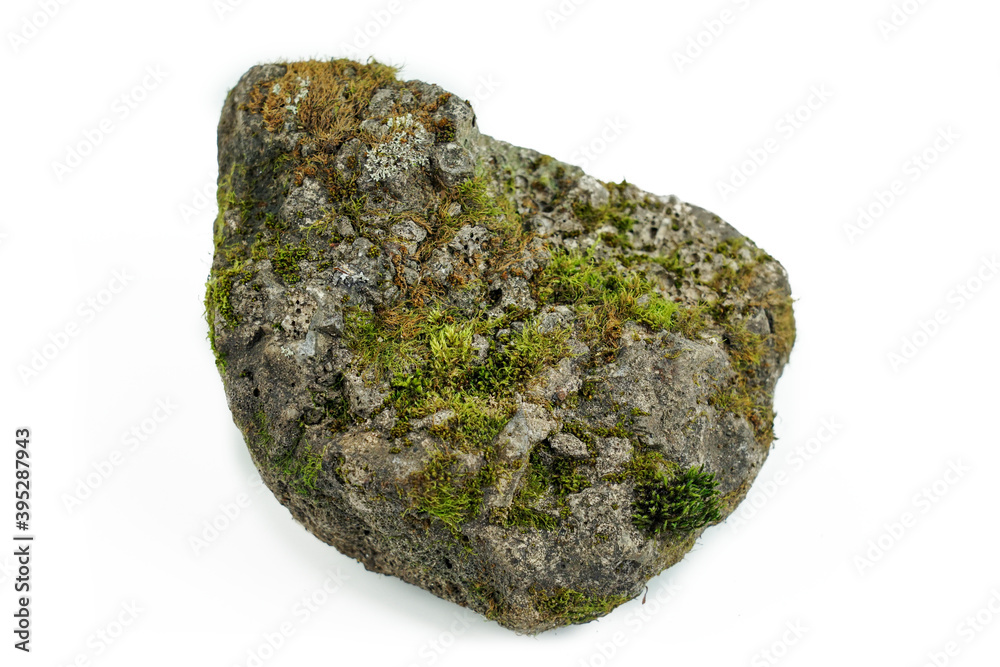 Old stones on a white background overgrown with moss Old stones on a white background overgrown with moss
