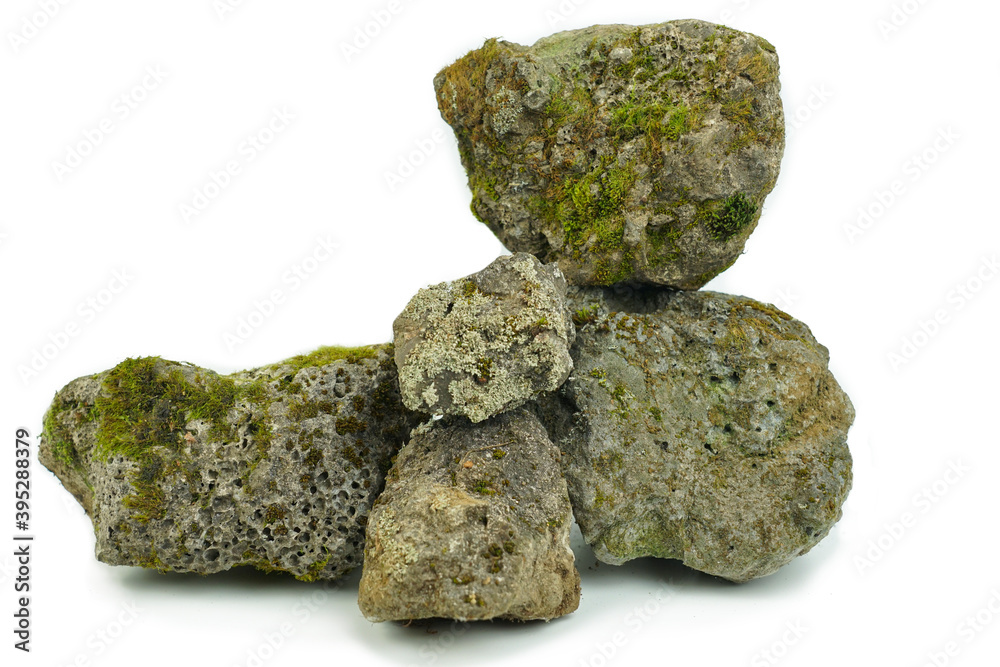 Old stones on a white background overgrown with moss