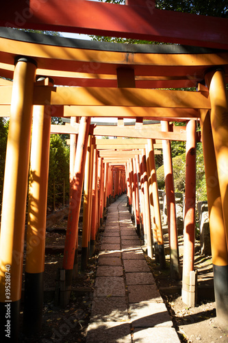 Senbon Torii of Nezu Shrine in Tokyo, Japan photo