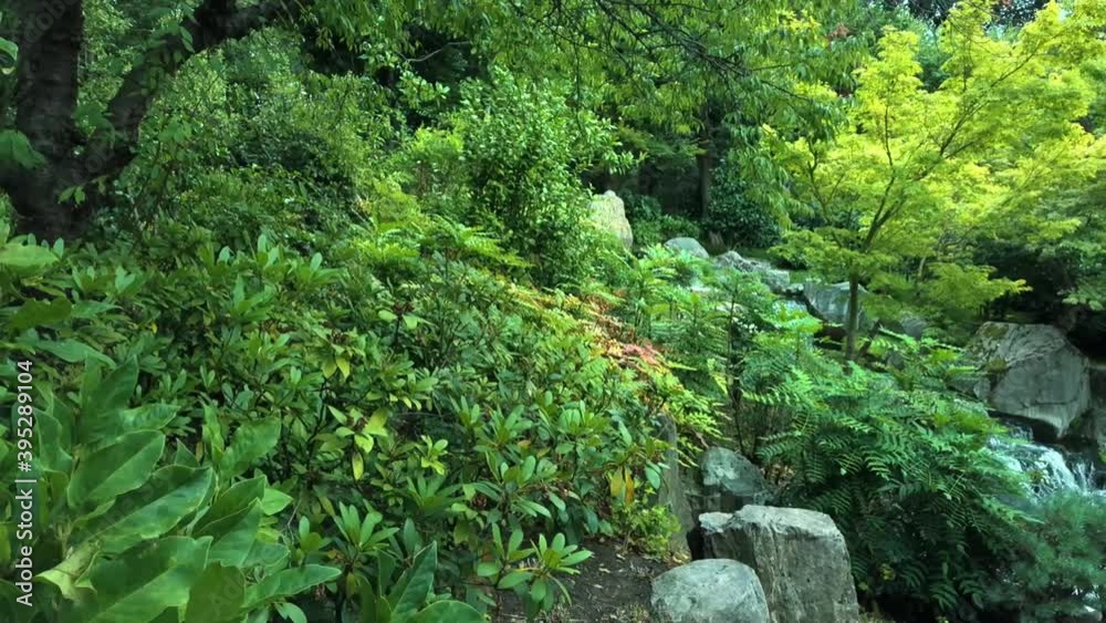 Vibrant Japanese Garden In Slow Motion Vibrant Japanese Garden In Slow Motion