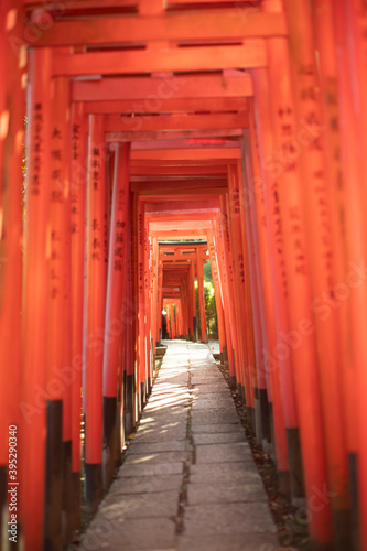 Senbon Torii of Nezu Shrine in Tokyo  Japan