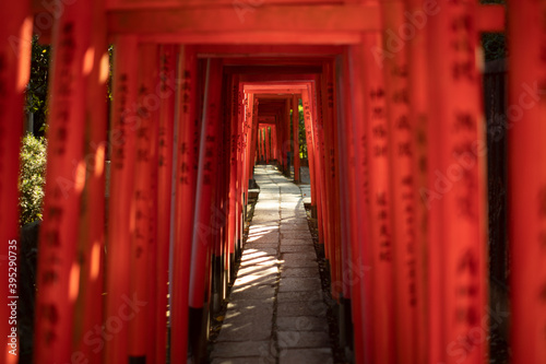 Senbon Torii of Nezu Shrine in Tokyo  Japan