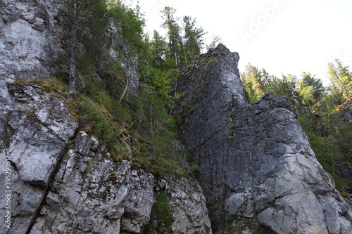 Unique natural landscape.Canyon.Rock formation.A cliff with sparse trees on top