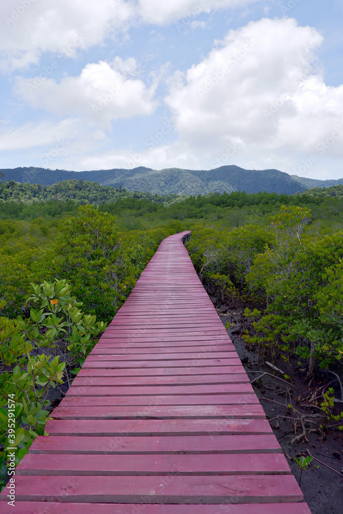The red wooden walkway between the mangrove forest and blue sky.