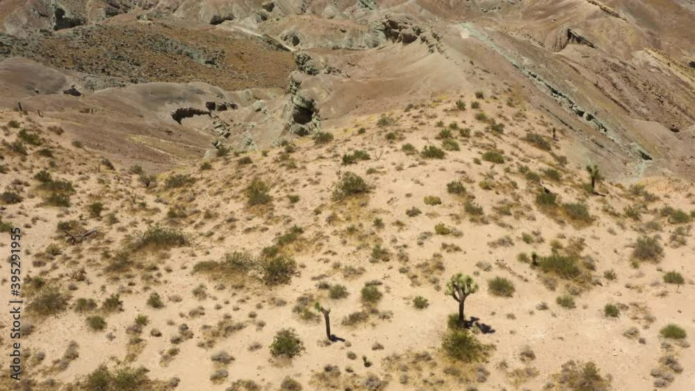 Looking down at the dry desert scrub bushes that cover the side of a mountain in the Rainbow Basin; SUV driving in the background. Looking down at the dry desert scrub bushes that cover the side of a mountain in the Rainbow Basin; SUV driving in the background.