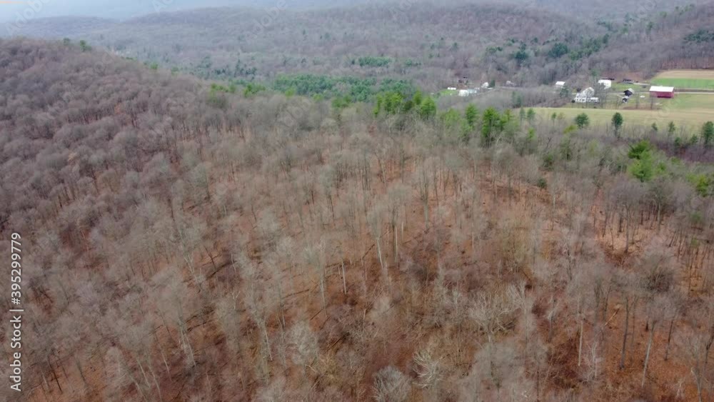 Traveling over the tops of the trees of the forest in the winter season aerial view. Traveling over the tops of the trees of the forest in the winter season aerial view.