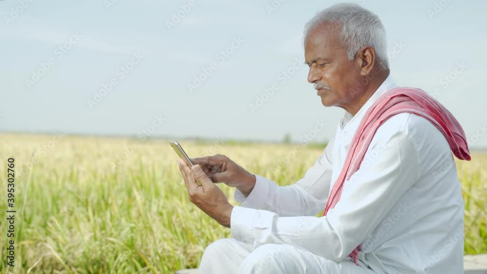 Indian famer using mobile at agricultural farm land - elder villager using phone - Concept of senior rural people using technology and smartphone