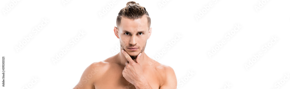 shirtless man posing isolated on white, banner shirtless man posing isolated on white, banner