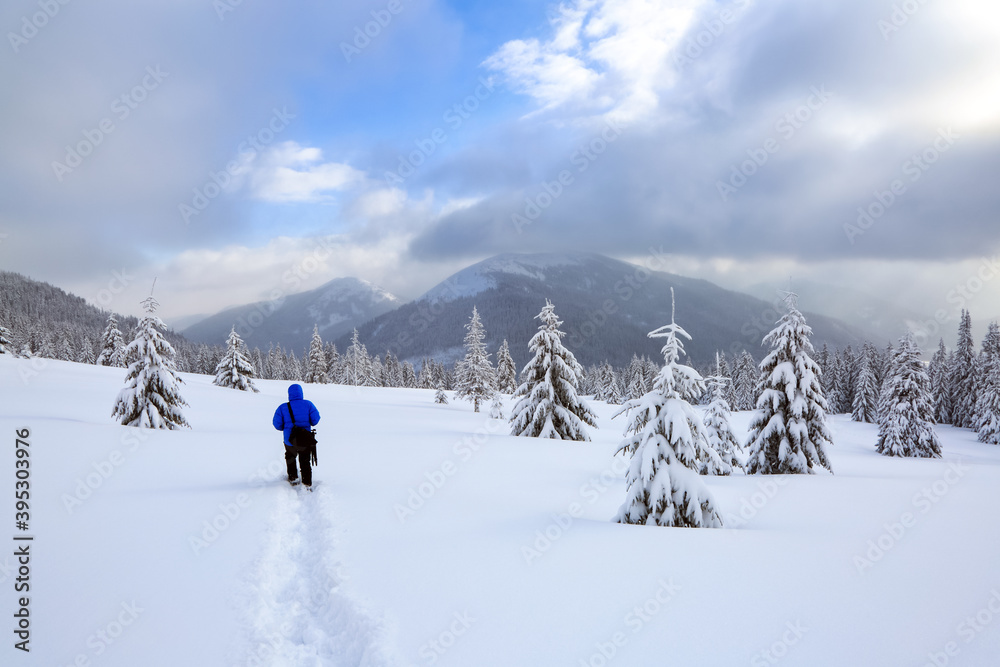 Magical winter forests. Photographer tourist stays on the lawn covered with snow. High mountains with snow white peaks, trees in the snowdrifts. Snowy background. Nature scenery. Magical winter forests. Photographer tourist stays on the lawn covered with snow. High mountains with snow white peaks, trees in the snowdrifts. Snowy background. Nature scenery.