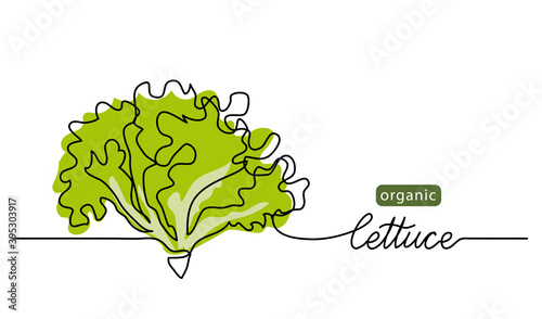 Lettuce, green leaves, bunch of salad vector illustration, background. One line drawing art illustration with lettering organic lettuce.