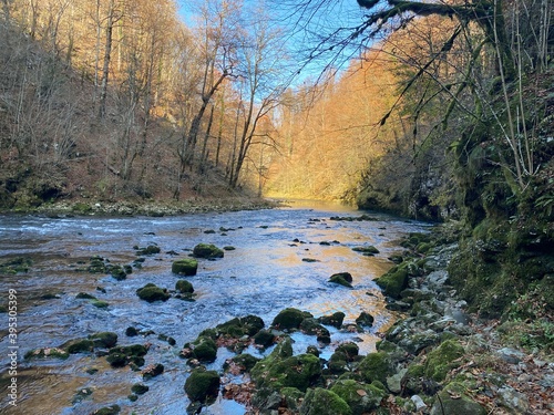 Fototapeta Naklejka Na Ścianę i Meble -  Kupa river spring valley landscape