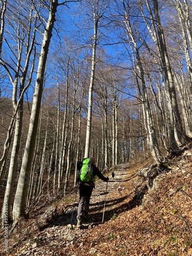 Risnjak national park in Croatia landscape photo