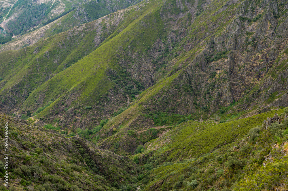 Close up of a rugged mountain. Textured landscape. Yellow and green vegetation. Close up of a rugged mountain. Textured landscape. Yellow and green vegetation.