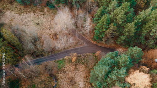 Fototapeta Naklejka Na Ścianę i Meble -  forest road in autumn scenery view from the drone