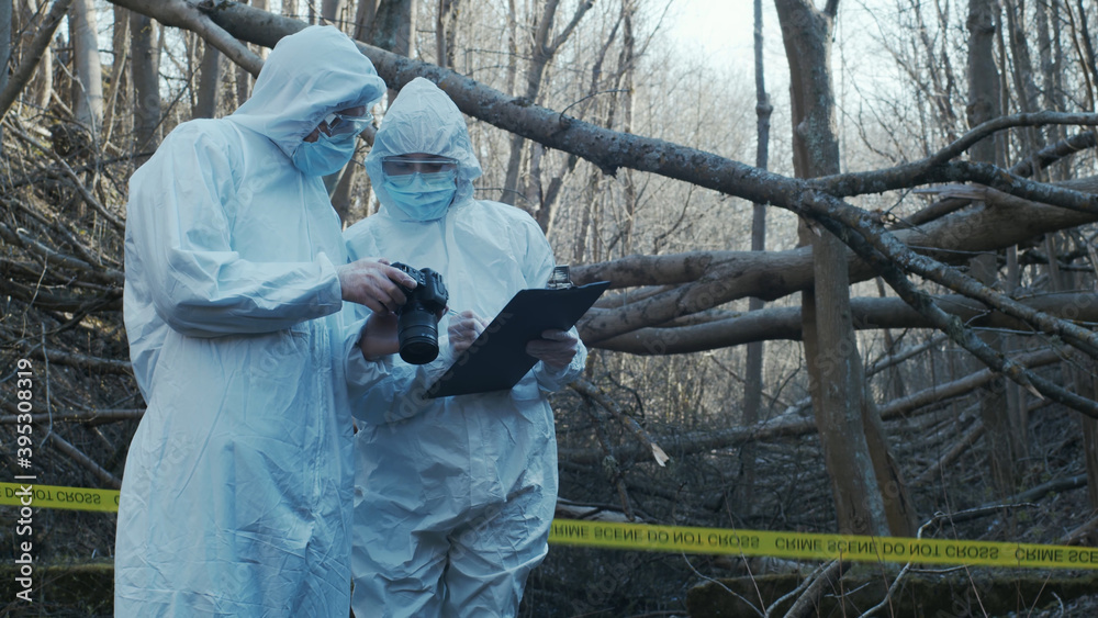 Detectives are collecting evidence in a crime scene. Forensic specialists are making expertise. Police investigation in a forest. Detectives are collecting evidence in a crime scene. Forensic specialists are making expertise. Police investigation in a forest.