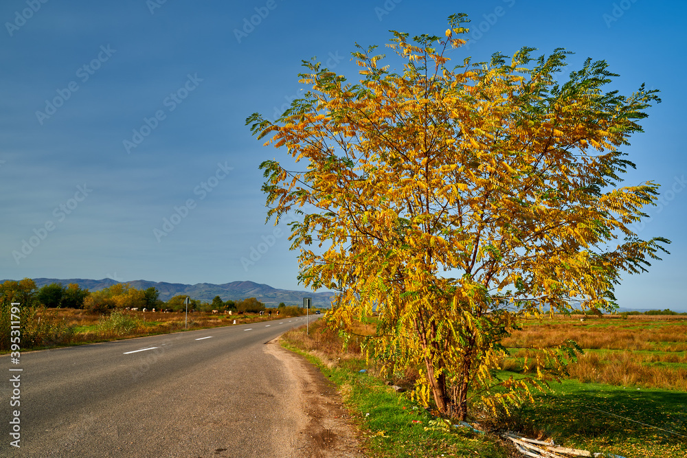 Empty road in the mountains Empty road in the mountains