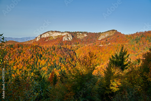 Colorful forests on the mountains