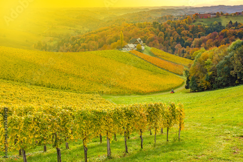 Autumn landscape with South Styria vineyards known as Austrian Tuscany a charming region on the border between Austria and Slovenia with rolling hills picturesque villages and wine taverns at sunrise