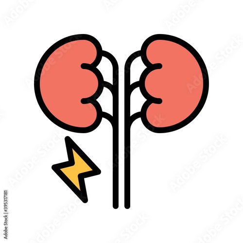 Obraz na płótnie sickness and disease related kidny pain in humen vectors with editable stroke, w salonie