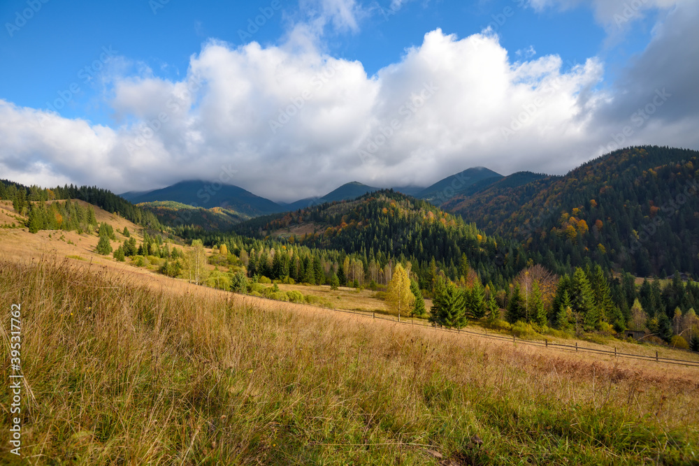 Amazing mountain landscape with colorful trees and herbs. Autumn sunny day. Carpathian, Ukraine, Europe