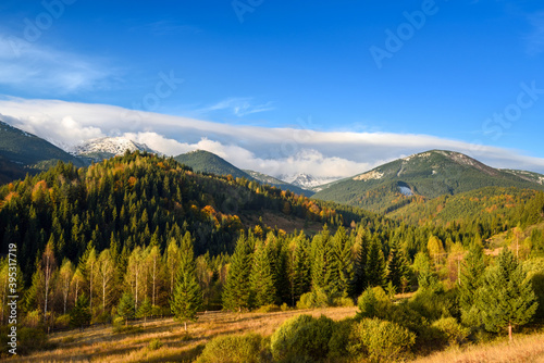 Amazing mountain landscape with colorful trees and herbs. Autumn sunny morning. Carpathian, Ukraine, Europe