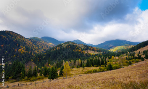 Amazing mountain landscape with colorful trees and herbs. Carpathian, Ukraine, Europe