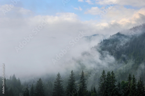 Mountain landscape in the morning mist after rain