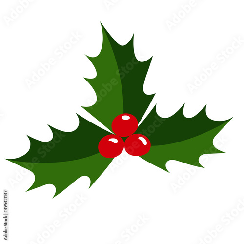 Vector illustration of holly with green leaves and red berries isolated. Bright decoration for New Year and Christmas. Ilex aquifolium. 