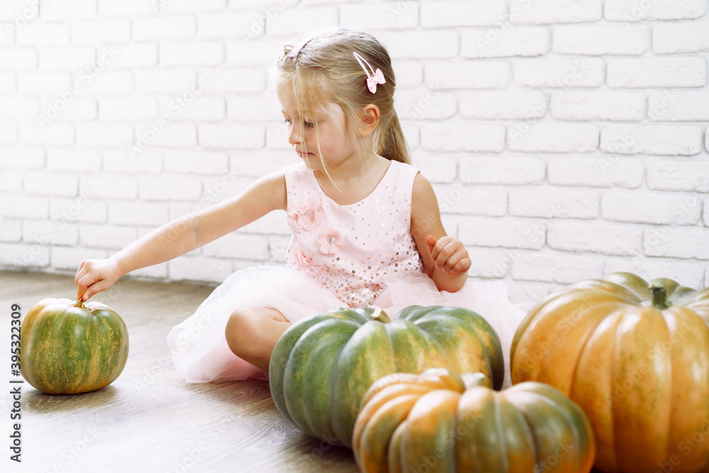 Fototapeta premium Little girl in pink dress sitting on wooden floor and playing with pile of pumpkins