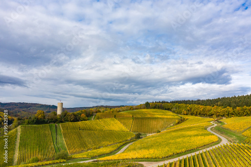 View from above of autumn-colored vineyards to the tower of the Scharfenstein castle ruins near Kiedrich / Germany in the Rheingau