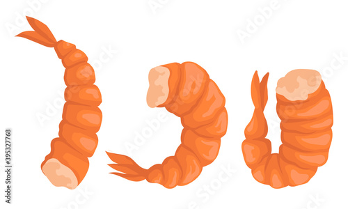 Cooked Headless Shrimp or Prawn as Crustaceans Seafood Vector Set