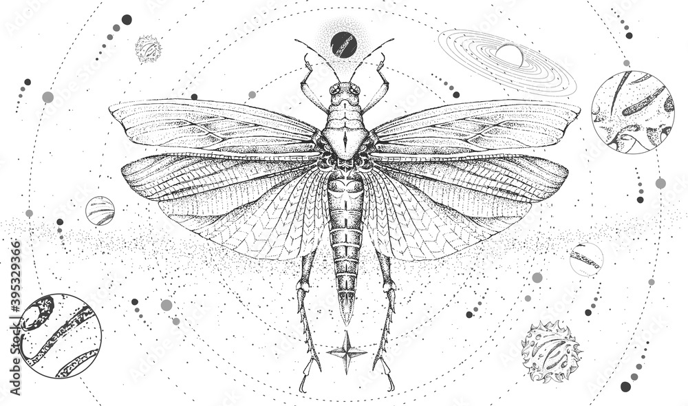 Modern magic witchcraft card with solar system and grasshopper. Hand drawing occult vector illustration Modern magic witchcraft card with solar system and grasshopper. Hand drawing occult vector illustration