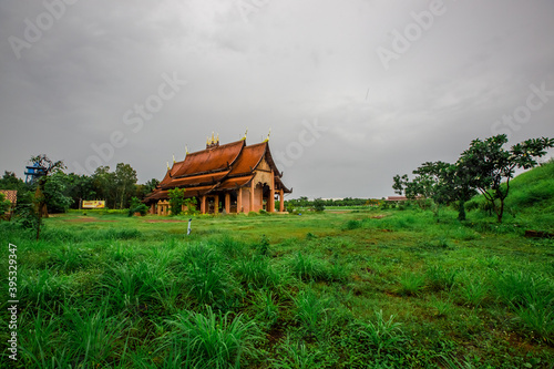 The close background of the green rice fields, the seedlings that are growing, are seen in rural areas as the main occupation of rice farmers who grow rice for sale or living. © bangprik