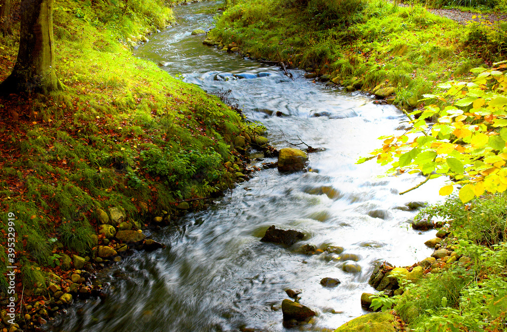 Meandering woodland stream background image Meandering woodland stream background image