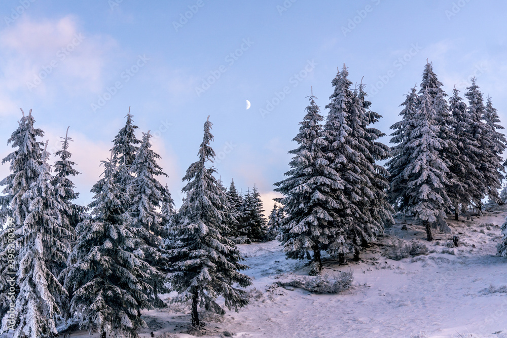 Sunset in snowy Carpathians