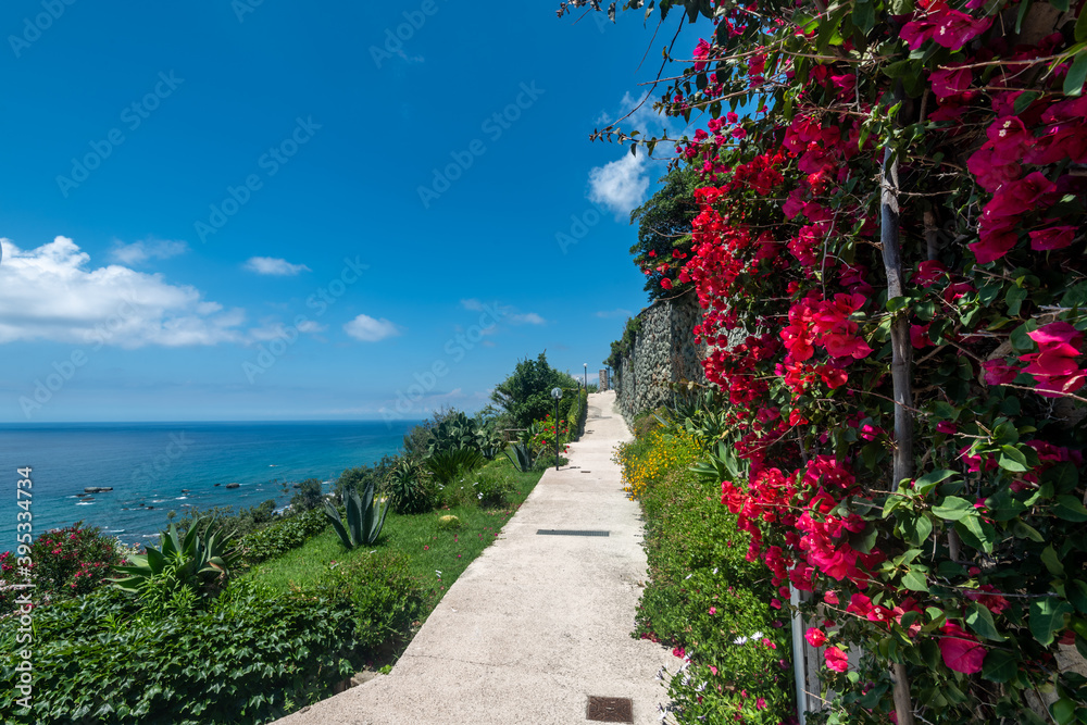 Beautiful road along the sea among the flowers. Ischia, Italy