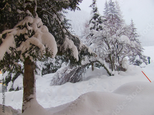 argentiere,chamonix,haute savoie,france photo