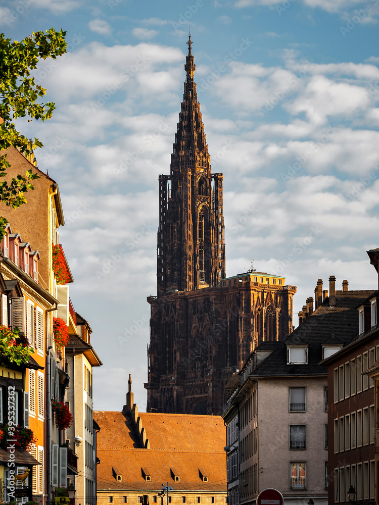 Strasbourg's majestic cathedral rises above the city.
