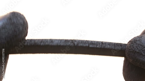 Damaged engine belt on isolated