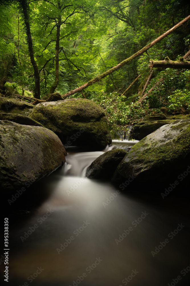 Obraz premium Small waterfalls streaming into small pond in green forest in long exposure