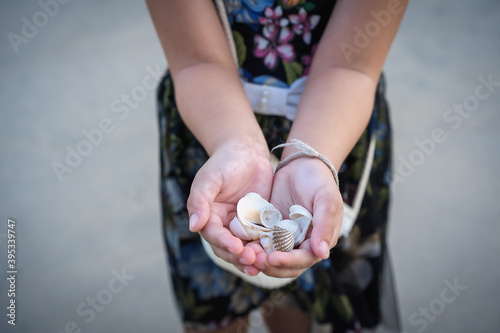 Selective focus on small seashells on child's hands holding, standing on the sand beach. Natural concept